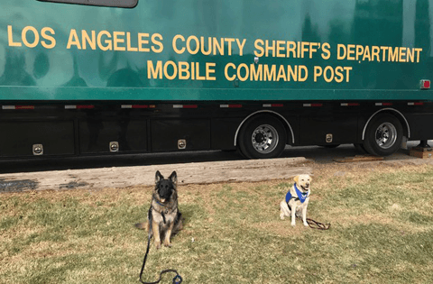 angeles-val-foothill-04
