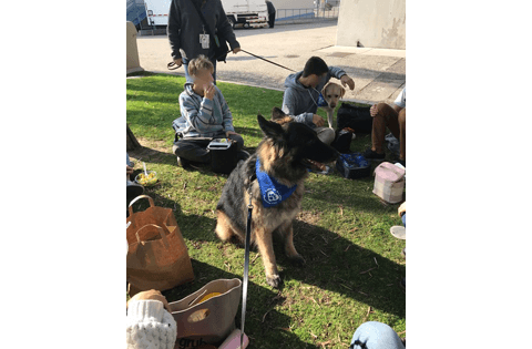angeles-val-foothill-22