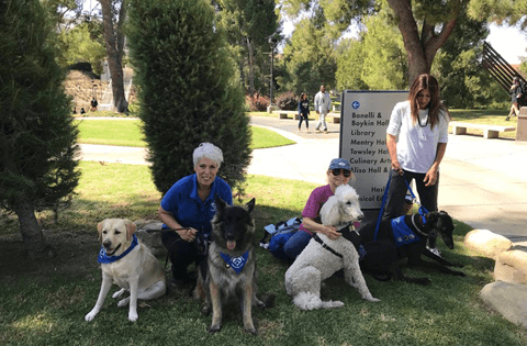 angeles-val-foothill-30