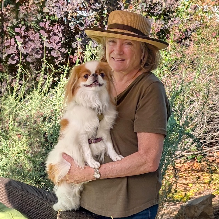 Ojai_redo